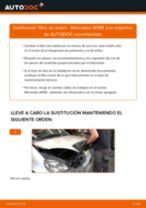 La guía profesional para realizar la sustitución de Filtro de Combustible en tu Mercedes W168 A 170 CDI 1.7 (168.008)