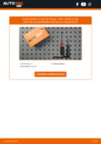 Cambio Filtro antipolen OPEL bricolaje - manual pdf en línea