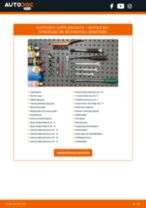 RIDEX 479C0002 für Polo Schrägheck (6N1) | PDF Handbuch zum Wechsel