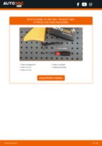 Renault 4 Station Wagon Frecce sostituzione: tutorial PDF passo-passo
