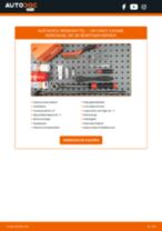 Werkstatthandbuch für Caddy III Kombi (2KB, 2KJ, 2CB, 2CJ) 1.6 online