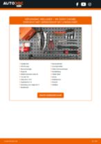 High-level professioneel handboek over vervanging van Wiellagerset op de TOURAN
