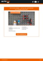 BOSCH ZS-PE PENCIL COIL 1X1 voor POLO (9N_) | PDF handleiding voor vervanging