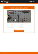 FORD B-MAX Ansaugluftkühler: Online-Handbuch zum Selbstwechsel