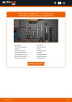 STARK SKTC-0560121 für TIGUAN (5N_) | PDF Handbuch zum Wechsel