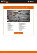 BREMBO D11088213 für SHARAN (7N1, 7N2) | PDF Handbuch zum Wechsel