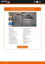 Wie Nummernschildbeleuchtung LED und Halogen beim VW Scirocco 1 wechseln - Handbuch online