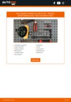 PEUGEOT BOXER Platform/Chassis (ZCT_) repair manual and maintenance tutorial