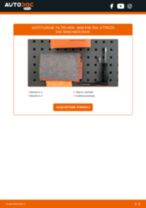 Mini Paceman R61 Tergicristalli sostituzione: tutorial PDF passo-passo
