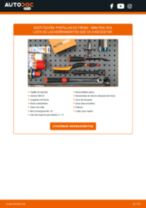 PDF manual sobre mantenimiento Cabrio