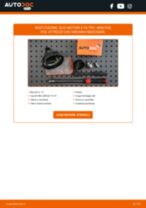 Citroen Jumper 250 Van Bobina D'Accensione sostituzione: tutorial PDF passo-passo