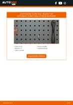Cambiare Pompa Acqua + Kit Cinghia Distribuzione PEUGEOT 207: manuale tecnico d'officina