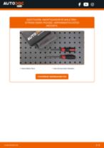 Reemplazar Muelle neumático maletero compartimento de carga CITROËN XSARA: pdf gratis