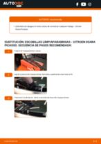 Recomendaciones de mecánicos de automóviles para reemplazar Correa Poly V en un CITROËN Citroen Xsara Picasso 1.6 HDi