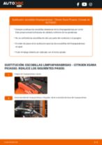 Cómo cambiar: escobillas limpiaparabrisas de la parte delantera - Citroen Xsara Picasso | Guía de sustitución