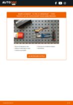 Changer Kit de feux arrières gauche et droit FORD à domicile - manuel pdf en ligne