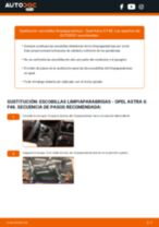 Sustitución de Escobillas de parabrisas en OPEL ASTRA G Hatchback (F48_, F08_) - consejos y trucos