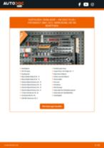 KAMOKA 209037 für GOLF PLUS (5M1, 521) | PDF Handbuch zum Wechsel