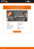 RIDEX 273C0805 für Passat Variant (365) | PDF Handbuch zum Wechsel