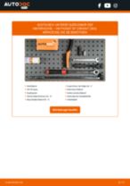 RIDEX 273C1182 für Passat Variant (365) | PDF Handbuch zum Wechsel