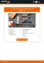 RIDEX 402B0250 για Cabrio (R52) | PDF οδηγίες αντικατάστασης