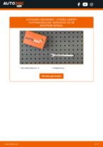 Citroen Xantia X1 Scheibenbremsbeläge: Online-Handbuch zum Selbstwechsel