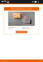 Смяна на Крушка за мигачи на FIAT DOBLO: безплатен pdf