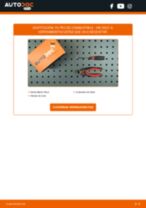 Cambio Espejo lateral derecho SEAT bricolaje - manual pdf en línea