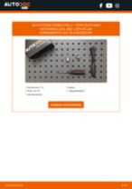 Cambio Bombilla delantera LED y Xenon FORD bricolaje - manual pdf en línea