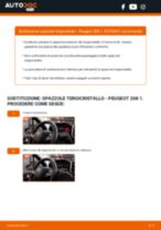 Come cambiare spazzole tergicristallo della parte anteriore su Peugeot 208 1 - Guida alla sostituzione