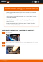 Reparatiehandleidingen voor de PEUGEOT 206 voor professionele monteurs of de doe-het-zelver
