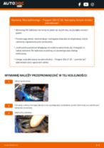 Jak wymienić filtr kabinowy w Peugeot 206 CC 2D - poradnik naprawy