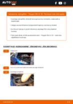 Automehaaniku soovitused, selleks et vahetada välja PEUGEOT Peugeot 3008 mk1 2.0 HDi 150 / BlueHDi 150 Salongifilter