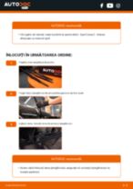 Manuale de reparație ale OPEL VIVARO pentru mecanicii profesioniști sau pentru automobiliștii-amatori de bricolaj