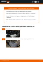 Skifte Bremsevæske: pdf instruksjoner for AUDI A4