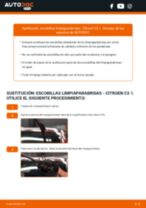 Cómo cambiar: escobillas limpiaparabrisas de la parte delantera - Citroen C3 1 | Guía de sustitución
