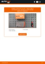 PDF návod na výmenu: Vzduchový filter SKODA Fabia II Hatchback (542)
