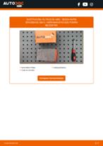 PDF manual de reemplazo: Filtro de aire motor SKODA Rapid Spaceback (NH1)