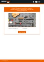 CONTITECH 6 PK 1658 pre 306 Break (7E, N3, N5) | PDF návod na výmenu