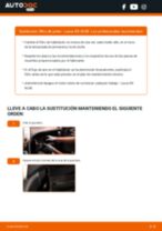 Cómo cambiar Alojamiento de amortiguador telescópico delanteros y traseros Cherry II Coupe N10 - manual en línea