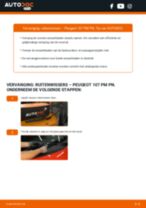 Hoe voer ik een Ruitenwisserbladen-vervanging in mijn 404 Cabrio 1.6 uit? Stapsgewijze handleidingen