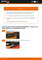 Cómo cambiar Limpiaparabrisas delanteras y traseras PEUGEOT 107 - manual en línea