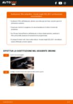 Cambio Batteria AGM, EFB, GEL MINI Cabrio: guida pdf