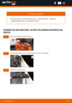 Peugeot 407 Limousine Blinker Lampe: Online-Handbuch zum Selbstwechsel