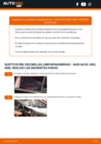 Manual de taller para Audi A8 4N2 en línea
