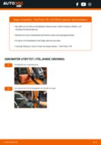 Steg-för-steg FIAT GRANDE PUNTO reparationsguide