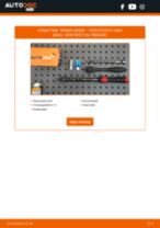 Bytte Tennplugger FORD FOCUS C-MAX: handleiding pdf