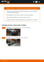 Žingsnis po žingsnio pakeiskite BMW E39 Stabdžių Trinkelių Komplektas Stovėjimo Stabdis PDF vadovas