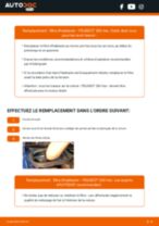PDF manuel sur la maintenance de PEUGEOT PICK UP 2017