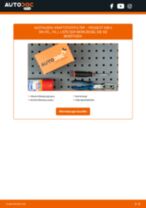 PEUGEOT 508 II SW (FE_, F4_) Spritfilter: Online-Handbuch zum Selbstwechsel